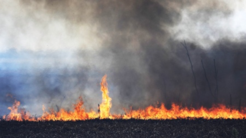 El incendio ocurrió en agosto de 2022 y afectó a 1.500 metros cuadrados.