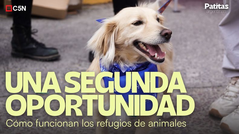 El rol de los hogares de tránsito es fundamental