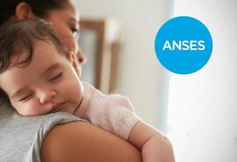 ANSES informó cuál es el nuevo monto del Complemento Leche para septiembre.