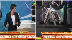 Los perros de Guido Kaczka, en el banquillo: show, juego o ¿animales martirizados? Los perros de Guido Kaczka, en el banquillo: show, juego o ¿animales martirizados?