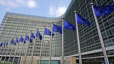 Los aranceles de la UE entrarán en vigor a partir del 15 de abril. Los aranceles de la UE entrarán en vigor a partir del 15 de abril.