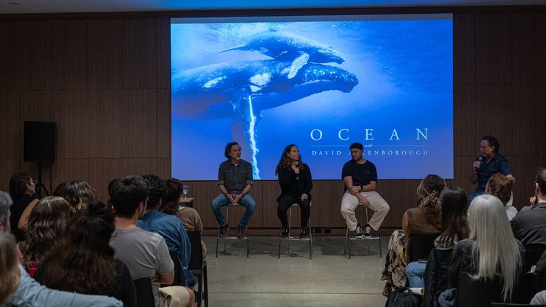 La proyección del documental Ocean (narrado por David Attemborough) contó paneles de debate.