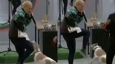 Furia golpeó a Arturo en tres ocasiones y piden su expulsión. Furia golpeó a Arturo en tres ocasiones y piden su expulsión.