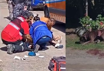 El perro murió en la calle y la jubilada debió ser internada.