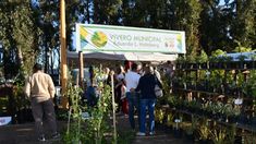 Cazón combina turismo rural, historia y una feria de emprendedores los fines de semana.