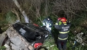 Un hombre despistó, chocó contra un poste de hormigón y murió en la Ruta 88.