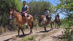 Agua de Oro, el pueblo cordobés donde se pueden hacer cabalgatas en las sierras. Agua de Oro, el pueblo cordobés donde se pueden hacer cabalgatas en las sierras.