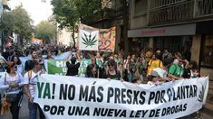 Se pidió avanzar en la educación del poder judicial sobre el cannabis.