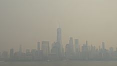 Manhattan cobierta por el smog. Manhattan cobierta por el smog.