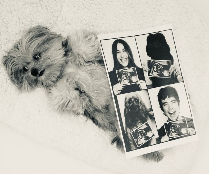 Tras el anuncio del primer embarazo de Sasha, Xuxa compartió una publicación con fotos de la ecografía. 