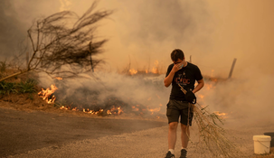 Los incendios se cobraron la vida de 12 personas.