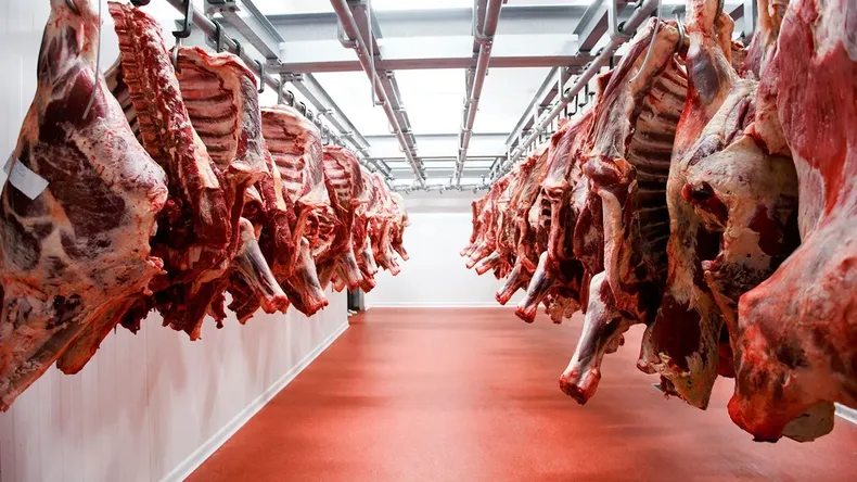 El consumo de carne sigue en caída mientras que las exportaciones  alcanzaron el volumen más alto en 57 años