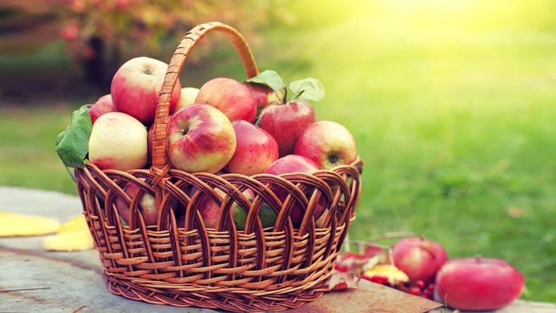 Son ricas en fibras y son un alimento saciante