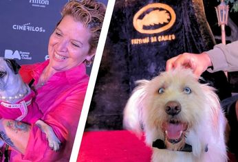 C5N | Festival de Canes 2025