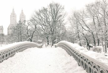 clima nueva york extendido