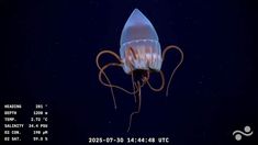 furor por el streaming del conicet: le gano en rating a los principales canales y a la entrevista de javier milei furor por el streaming del conicet: le gano en rating a los principales canales y a la entrevista de javier milei