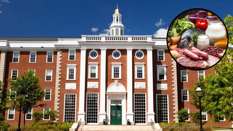 Los diez alimentos que previenen que suba el colesterol según un estudio de Harvard.