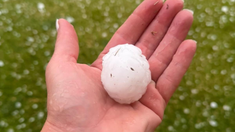Los cordobeses se volcaron a las redes sociales para mostrar las consecuencias de la granizada. Los cordobeses se volcaron a las redes sociales para mostrar las consecuencias de la granizada.