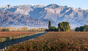 Este sitio ofrece una experiencia única de enoturismo y se ubica a solo una hora y media de la capital de la provincia de Mendoza