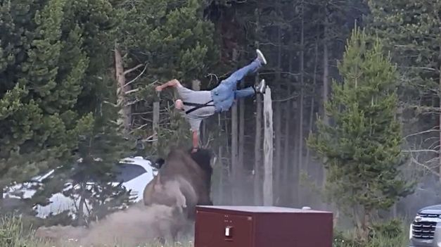 Los bisontes pueden correr tres veces más rápido que los humanos, advirtieron desde el parque nacional.&nbsp;