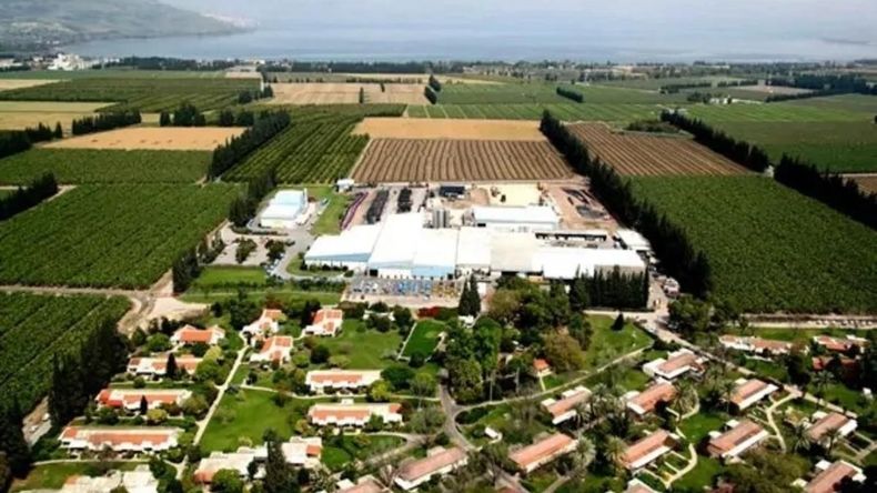 Los kibutz son agrupaciones cruciales en la historia israelí