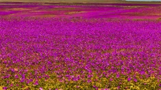 Tres rincones que destacan por su atmósfera romántica, sus paisajes imponentes y la posibilidad de vivir una experiencia única Tres rincones que destacan por su atmósfera romántica, sus paisajes imponentes y la posibilidad de vivir una experiencia única