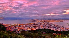 La fiebre amarilla se transmite a través de mosquitos infectados y puede provocar desde síntomas leves hasta cuadros graves con riesgo de muerte. La fiebre amarilla se transmite a través de mosquitos infectados y puede provocar desde síntomas leves hasta cuadros graves con riesgo de muerte.