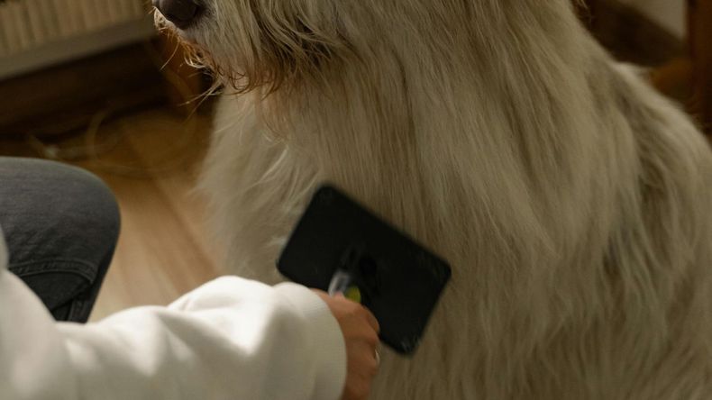 Ayuda a evitar enredos, controlar la caída del pelo y distribuir los aceites naturales que mantienen el pelaje brillante y saludable