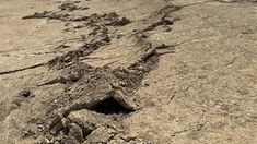 Declararon la emergencia geológica y urbanística en Comodoro Rivadavia tras el desplazamiento de tierras en el Cerro Hermitte