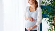 El calendario de pagos de Prenatal y Maternidad de Anses inician el 12 de abril. El calendario de pagos de Prenatal y Maternidad de Anses inician el 12 de abril.