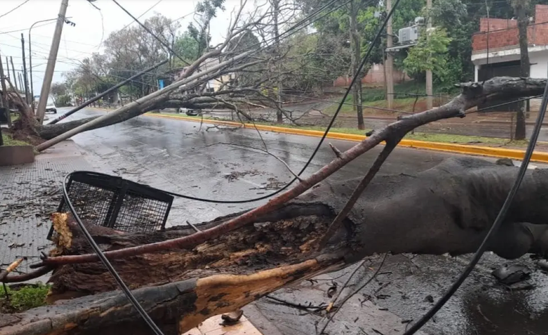 La tormenta provocó inundaciones de viviendas, caída de árboles y colapsaron los cables de alta tensión.