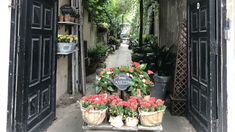 Paul French Gallery sorprende con su ubicación en pleno Palermo, detrás de una gran puerta de hierro. Paul French Gallery sorprende con su ubicación en pleno Palermo, detrás de una gran puerta de hierro.