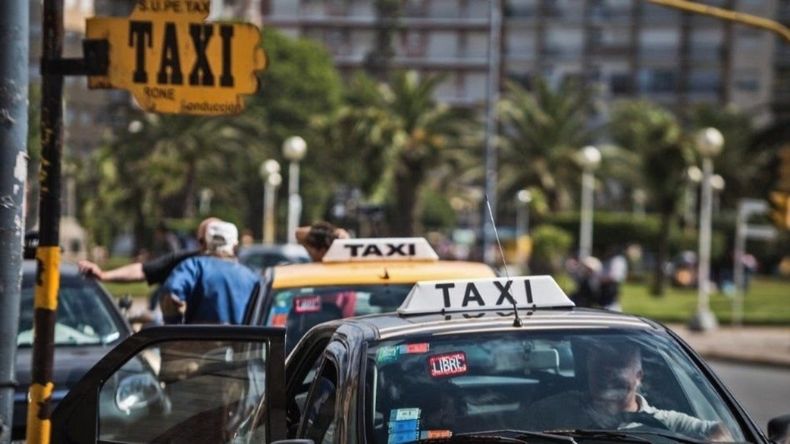 Paro de taxis en Mar del Plata.