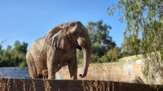 Pare el traslado, solo tres personas tendrán contactodirecto con Kenya, ya que la prioridad es que esté tranquila y se sientaacompañada Pare el traslado, solo tres personas tendrán contactodirecto con Kenya, ya que la prioridad es que esté tranquila y se sientaacompañada