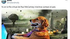 El debate de la Ley Bases en el Senado generó una variada cantidad de memes en las redes sociales.