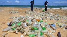 Hay 170 millones de fragmentos de plástico flotando en los océanos. Hay 170 millones de fragmentos de plástico flotando en los océanos.