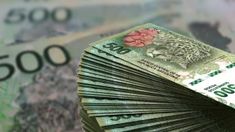 El Gobierno inyectó más de $51.000 millones en estos créditos en 2021. El Gobierno inyectó más de $51.000 millones en estos créditos en 2021.