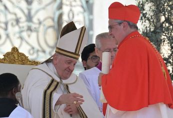 C5N | cardenal.jpg
