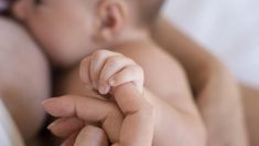 En 2025, la Semana de la Lactancia hace foco en las redes de apoyo. En 2025, la Semana de la Lactancia hace foco en las redes de apoyo.