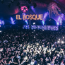 Los jóvenes eligen cada vez menos salir a bailar. Los jóvenes eligen cada vez menos salir a bailar.