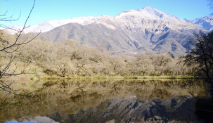 Disfrutá de una escapada única en Samay Cochuna, rodeado de montañas y vegetación.
