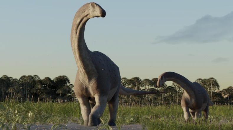 El estudio forma parte del proyecto Fin de la Era de los dinosaurios en Patagonia