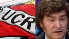 La UCR contra la poítica exterior de LLA La UCR contra la poítica exterior de LLA