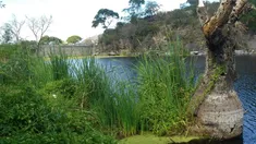 Estos espacios naturales se convirtieron en escenarios perfectos para quienes buscan aventura y tranquilidad en un mismo lugar. Estos espacios naturales se convirtieron en escenarios perfectos para quienes buscan aventura y tranquilidad en un mismo lugar.