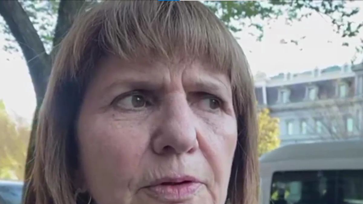 Patricia Bullrich negó cesión de soberanía tras el acuerdo con Estados Unidos: "Son dos gobiernos amigos que se ayudan mutuamente"