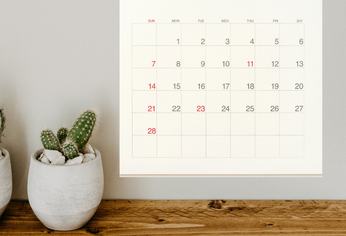 Octubre es un mes que cuenta con varios Feriados locales Octubre es un mes que cuenta con varios Feriados locales