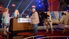 Alberto Samid reveló los pormenores del sketch de la vaca con Susana Giménez Alberto Samid reveló los pormenores del sketch de la vaca con Susana Giménez
