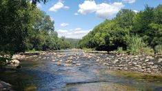 La turista brasilera se visitó y tuvo que retirarse. La turista brasilera se visitó y tuvo que retirarse.