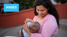 el extra que cobran los titulares de la auh de anses en noviembre 2025: los requisitos el extra que cobran los titulares de la auh de anses en noviembre 2025: los requisitos