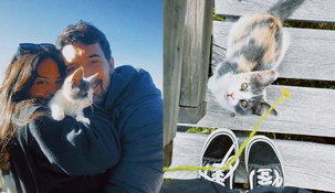 La tierna historia de la gatita conmovió a todos en redes sociales.
